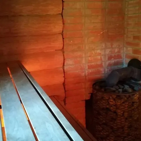 Hallika Sauna Dağ evi *