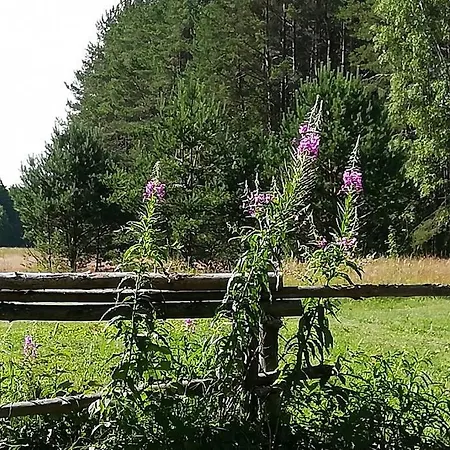 Hallika Sauna Dağ evi *