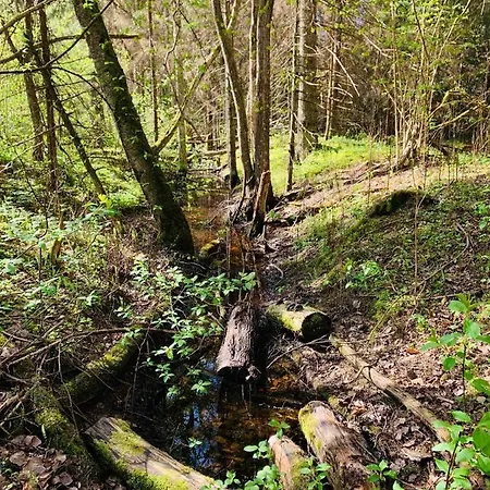 Dağ evi Hallika Sauna Langa